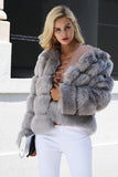 Gris Esponjoso Cropeed Shawl Lapel Faux Fur Shearling Coat
