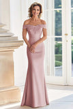 Champagne Off the Shoulder Swine Vestido Madre de la Novia con Apliques