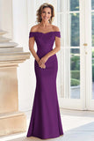 Champagne Off the Shoulder Swine Vestido Madre de la Novia con Apliques